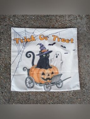 2/$10 Halloween Trick or Treat Witchy Cat Pumpkin Decorative Pillow Cover